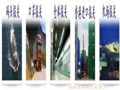 深圳偉盛通 專業(yè)辦理塑膠制品進出口退稅與報關的一站式服務專家